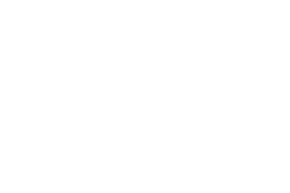 KOI Group